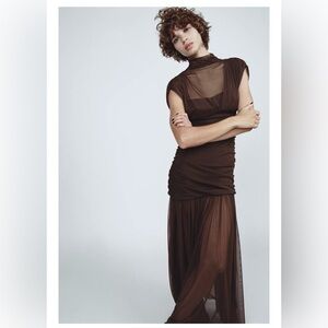 Zara Brown Sheer Dress